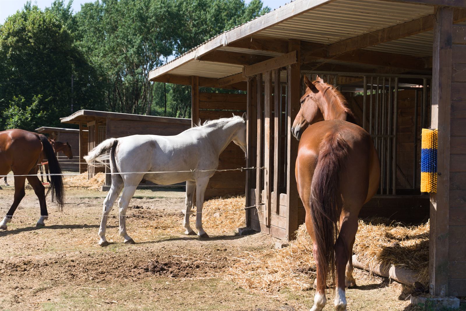 Ferme pédagogique